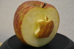 Apple on Apple