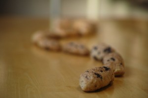 ChocochipCoconutCookie